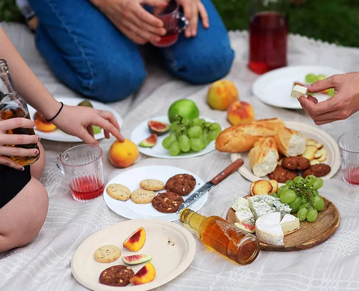 Picnic