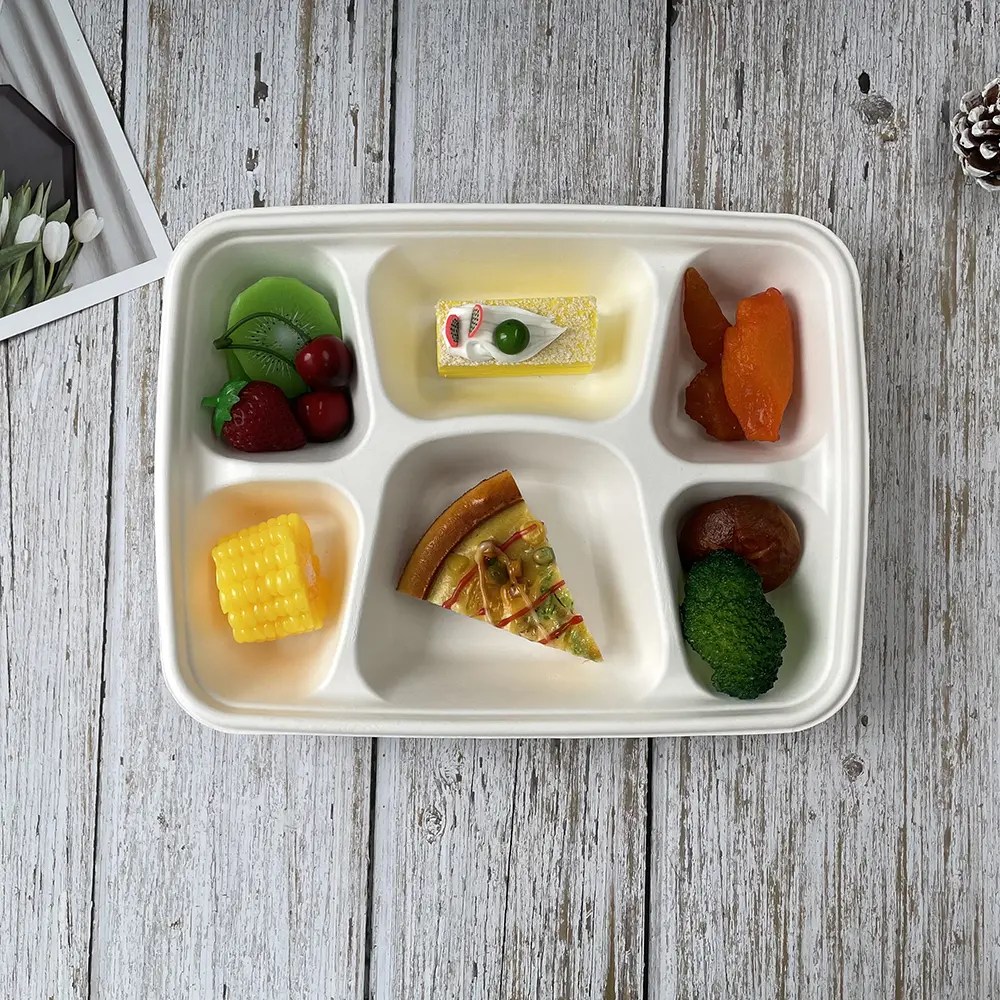 Eco-Friendly 6-Compartment Compostable Bagasse Trays for School Lunches (10)