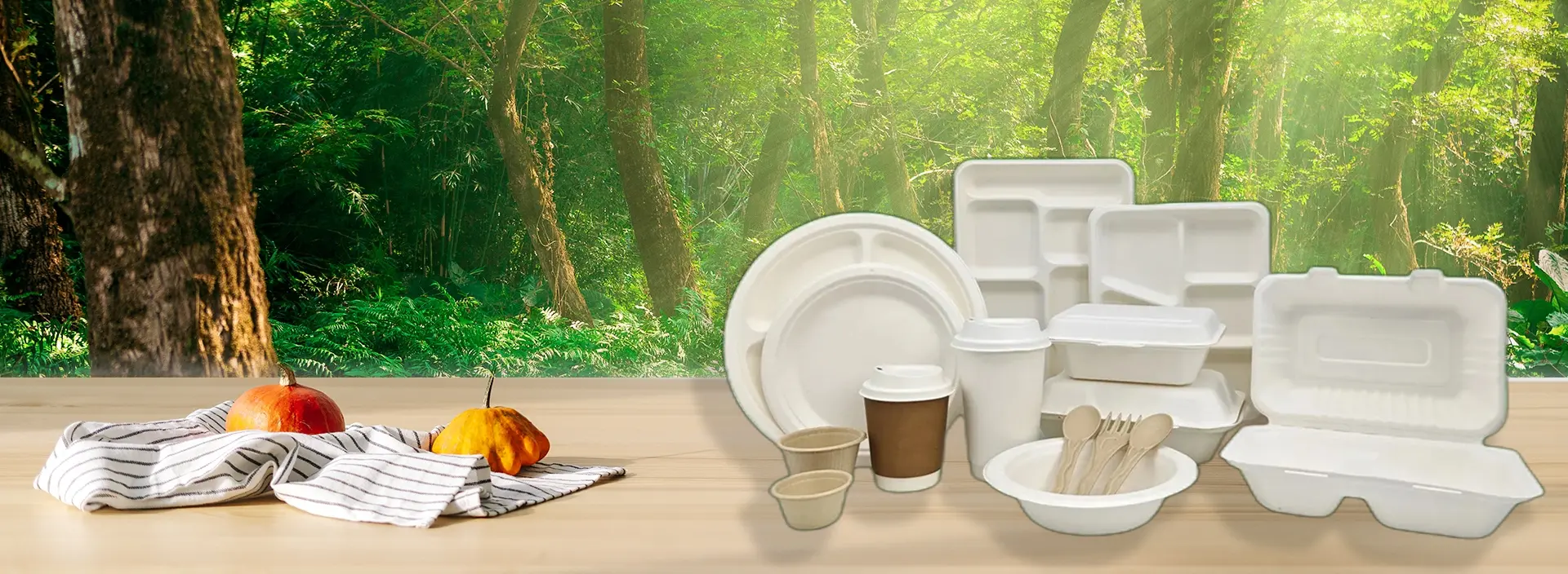 Bagasse Clamshell