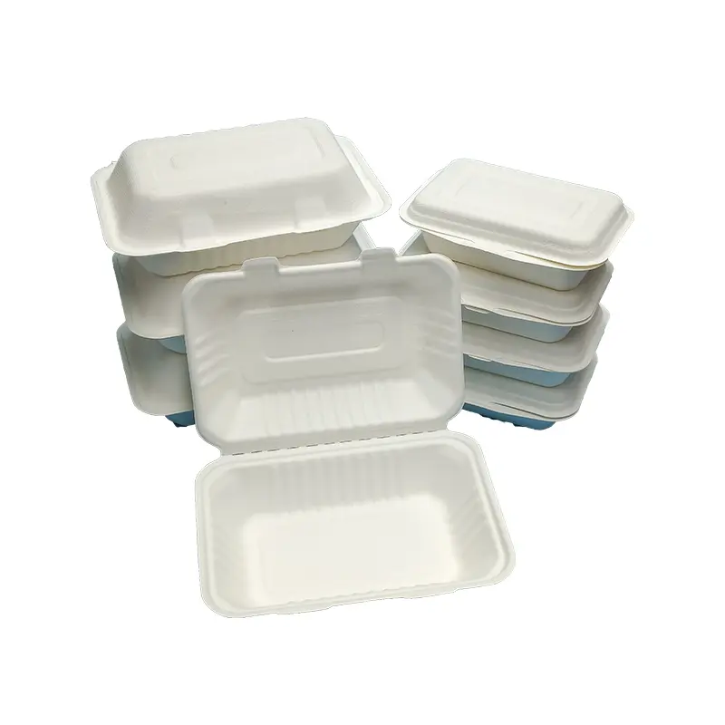 963bagasse clamshell disposable tableware for food packaging (6).jpg