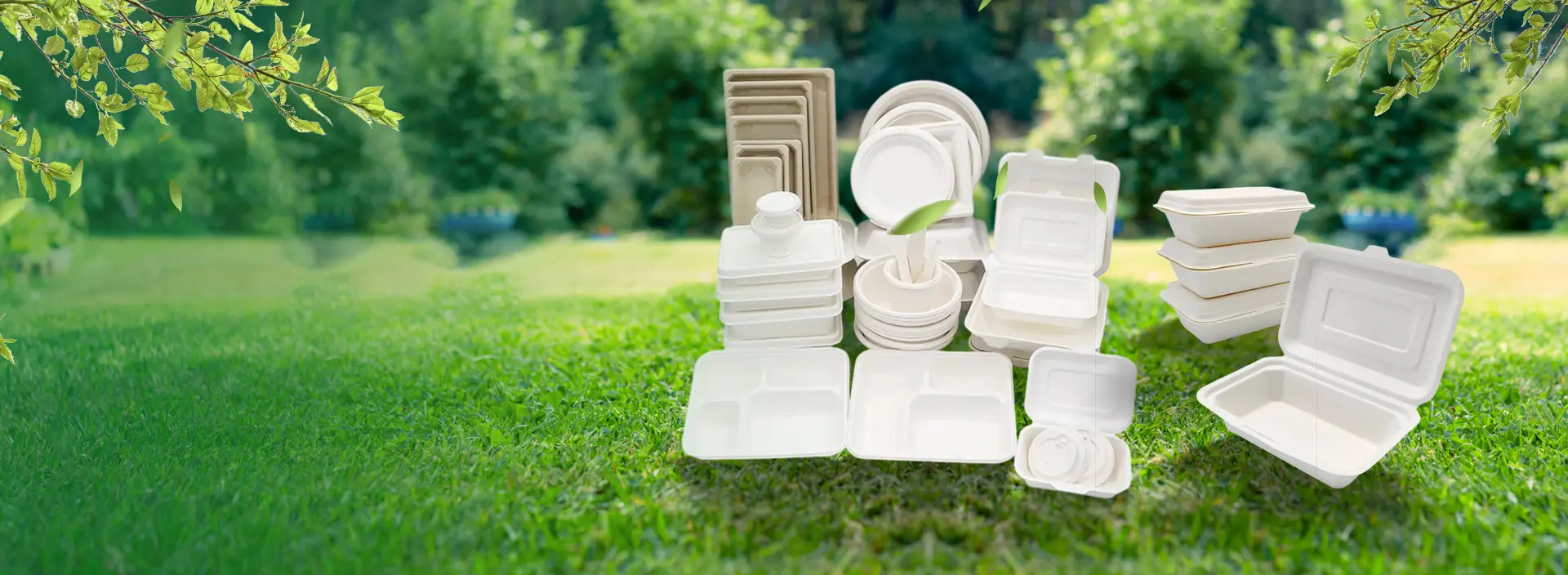 Disposable Containers