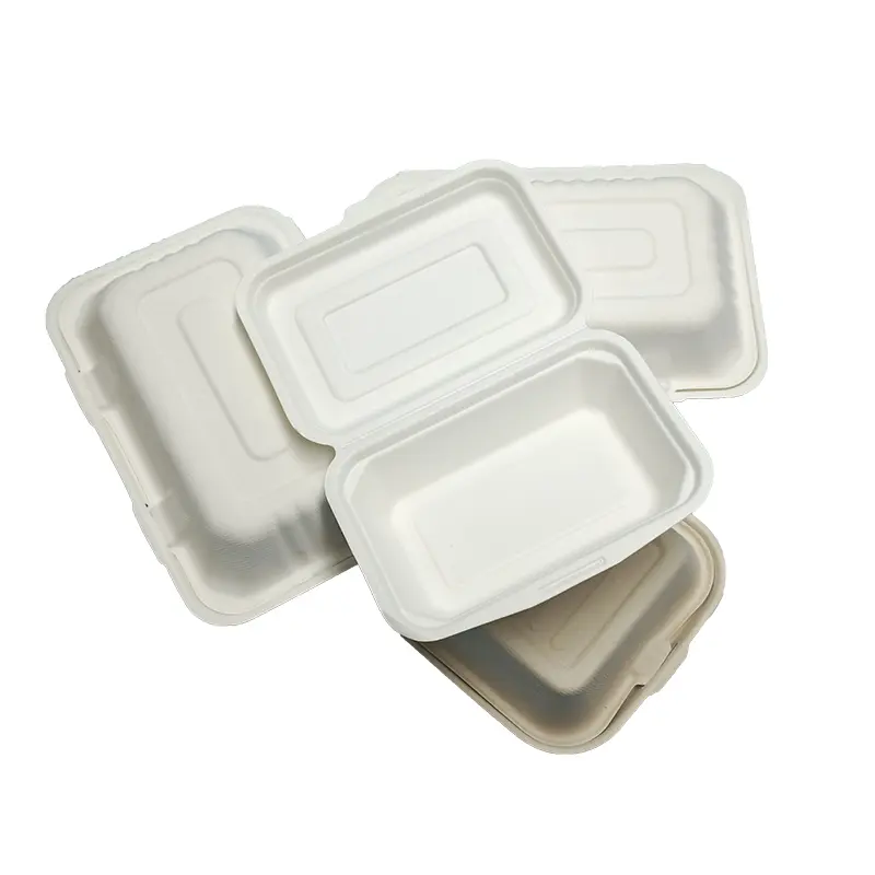 9*6*3 Bagasse Clamshell Disposable Tableware for Food Packaging