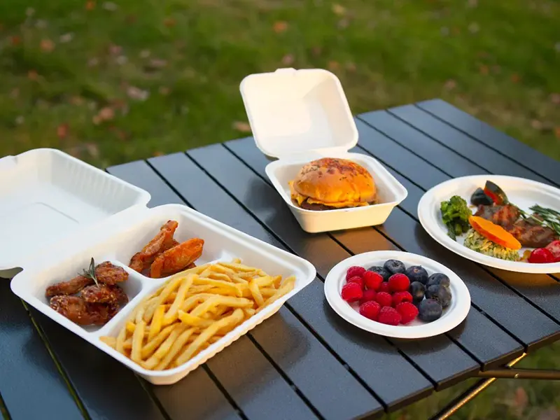 963bagasse clamshell disposable tableware for food packaging (9)