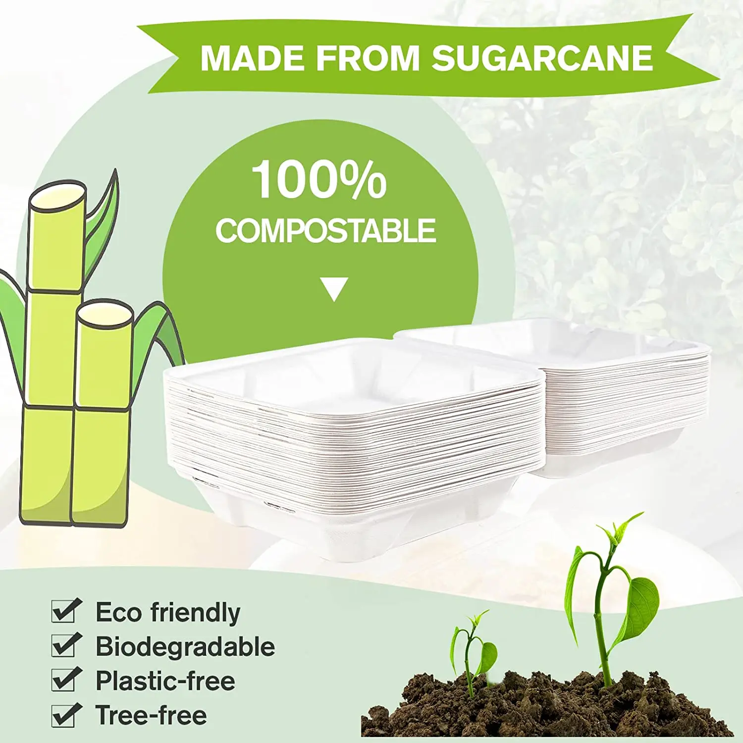 The Critical Role of Biodegradable and Eco-Friendly Packaging in Global Sustainability