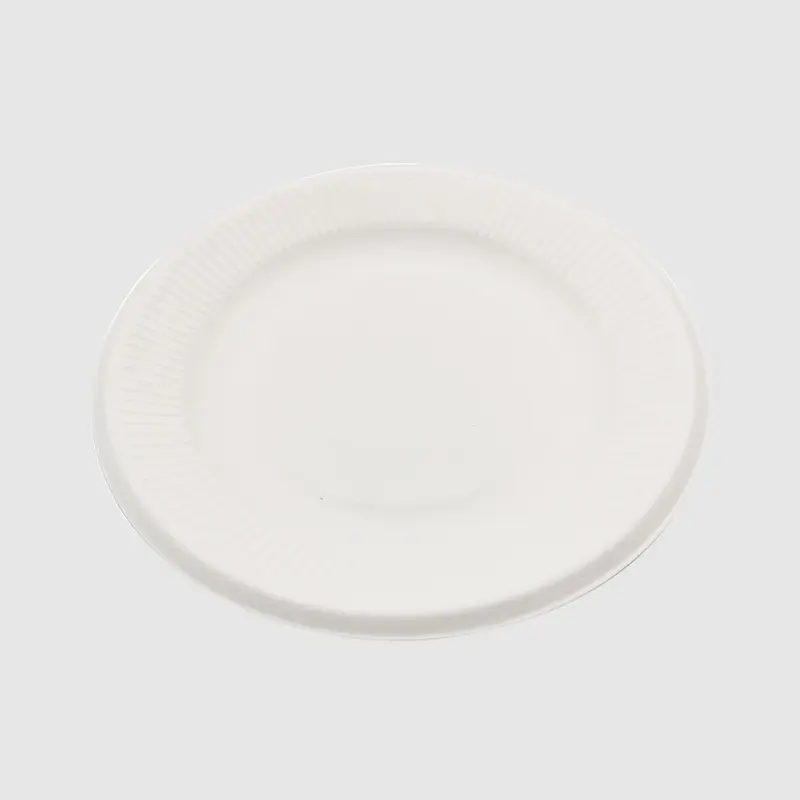 Compostable Round Bagasse Plate 7 Inch White (4).jpg