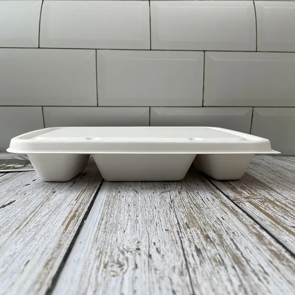 Eco-Friendly 6-Compartment Compostable Bagasse Trays for School Lunches
