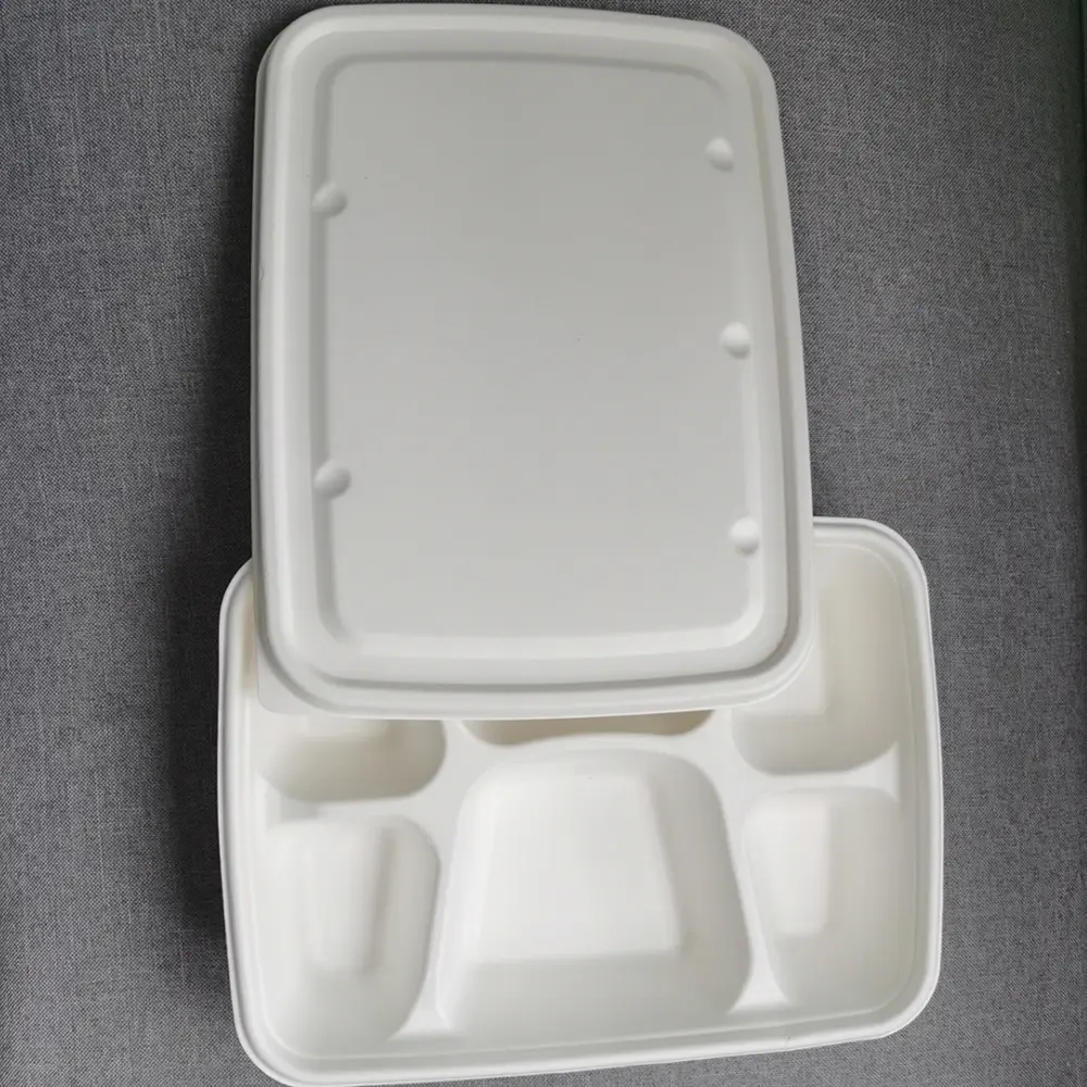 Eco-Friendly 6-Compartment Compostable Bagasse Trays for School Lunches (4).jpg