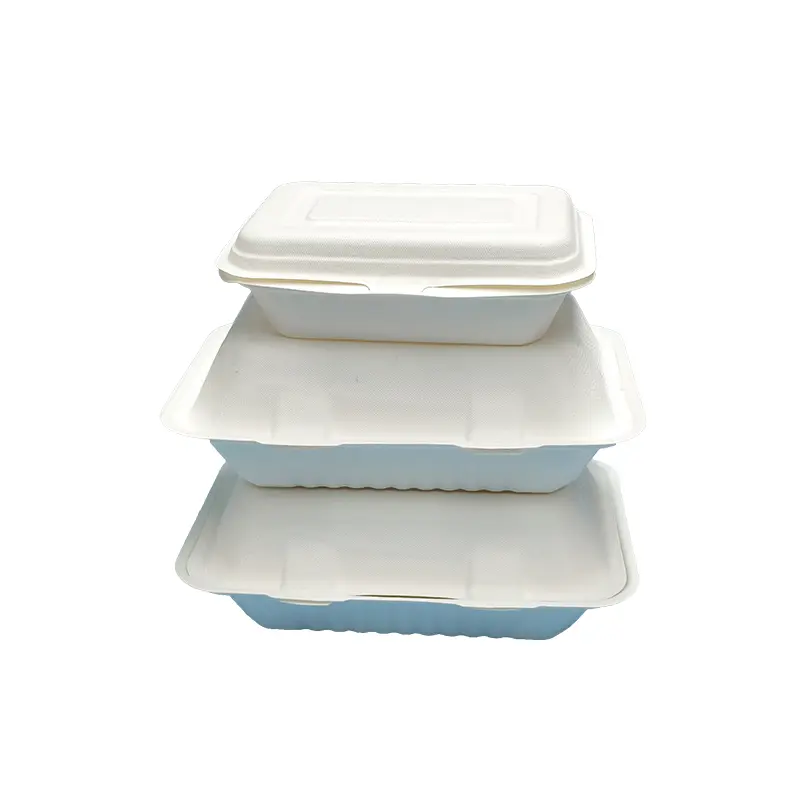 963bagasse clamshell disposable tableware for food packaging (5).jpg