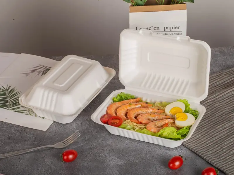 963bagasse clamshell disposable tableware for food packaging (10)