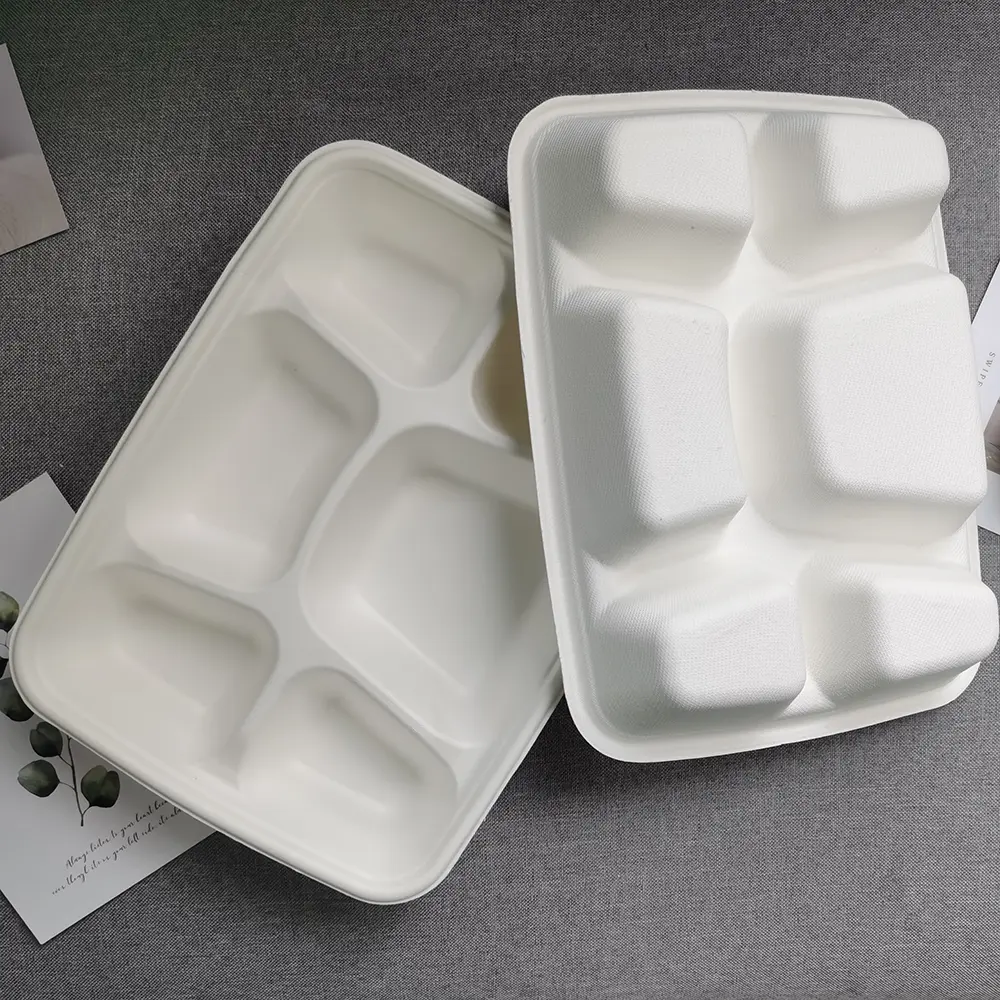 Eco-Friendly 6-Compartment Compostable Bagasse Trays for School Lunches (6).jpg