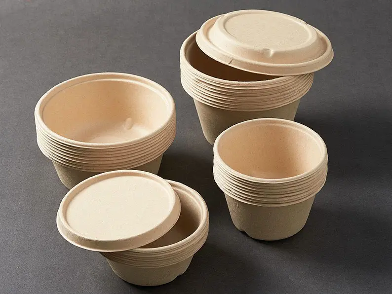 Disposable Degradable and Compostable Tableware: The Rise of Sugarcane