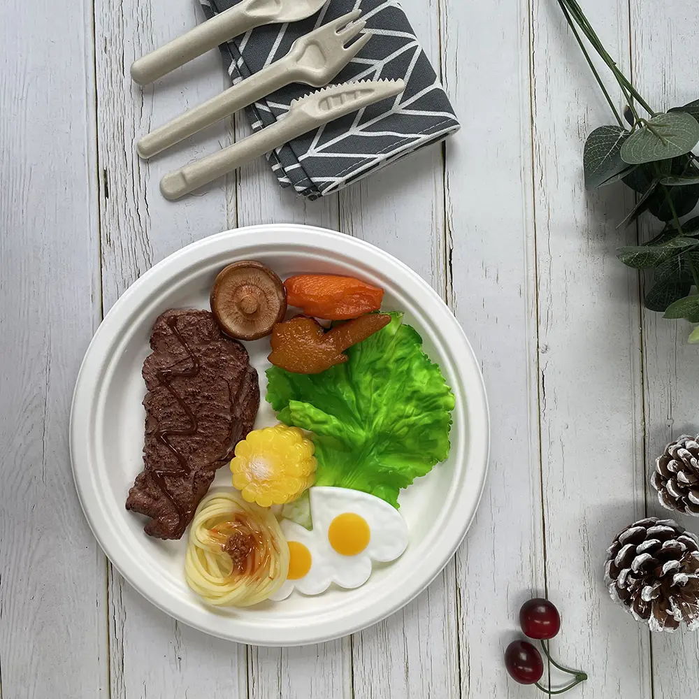 Compostable Round Bagasse Plate 7 Inch White (11)