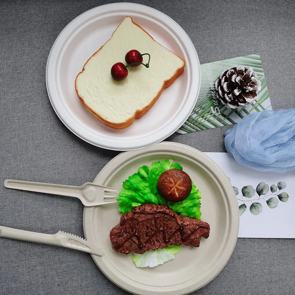 Compostable Round Bagasse Plate 7 Inch White (10)