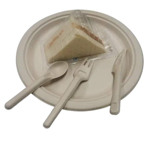100% Bagasse Biodegradable & Compostable Cutlery – Knives, Forks, Spoons (10)