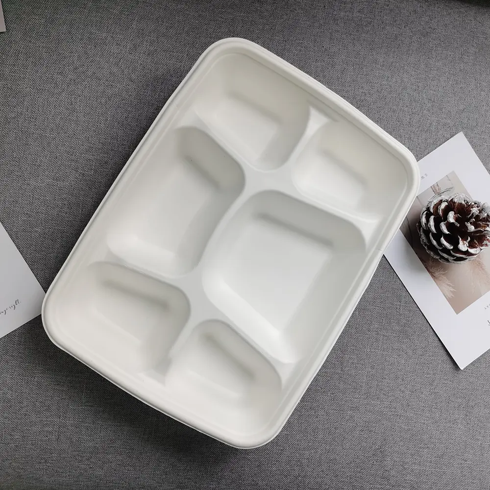 Eco-Friendly 6-Compartment Compostable Bagasse Trays for School Lunches (5).jpg