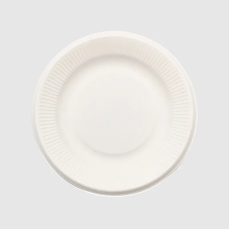 Compostable Round Bagasse Plate 7 Inch White (3).jpg