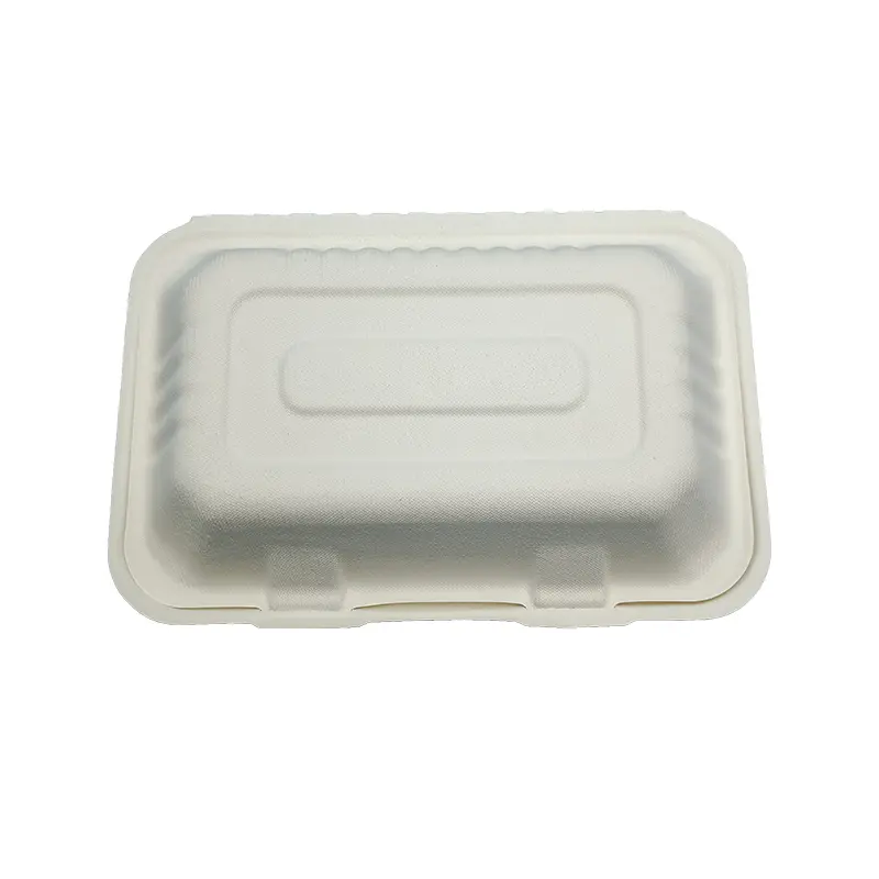 963bagasse clamshell disposable tableware for food packaging (2).jpg