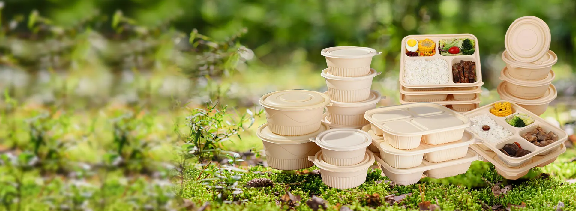 Bagasse Cups And Small Items